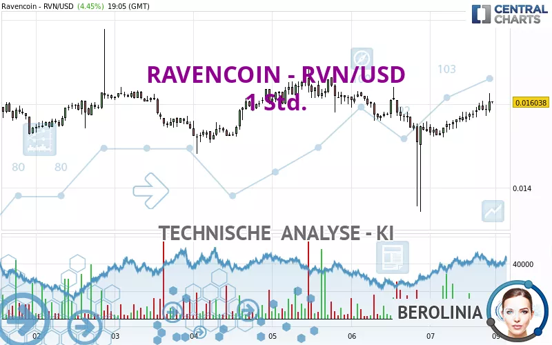 RAVENCOIN - RVN/USD - 1 Std.