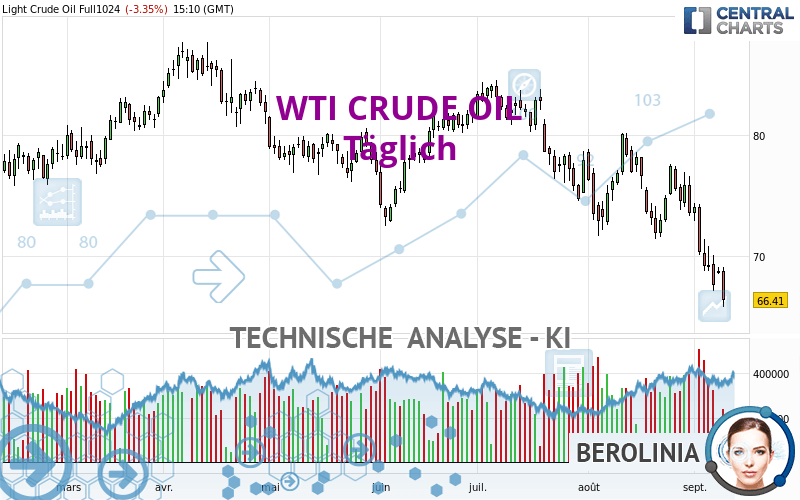 WTI CRUDE OIL - Täglich