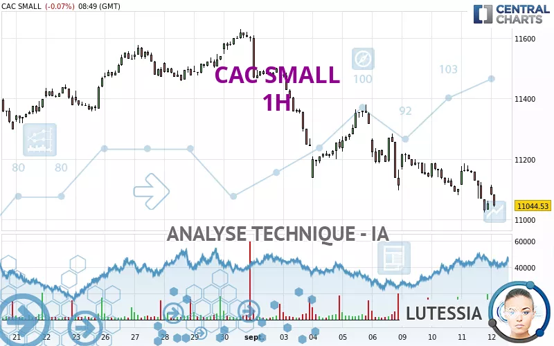 CAC SMALL - 1H