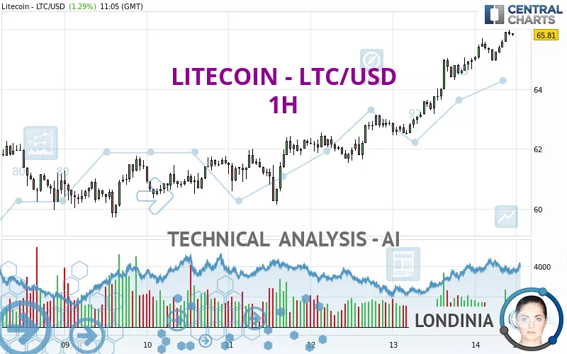 LITECOIN - LTC/USD - 1H