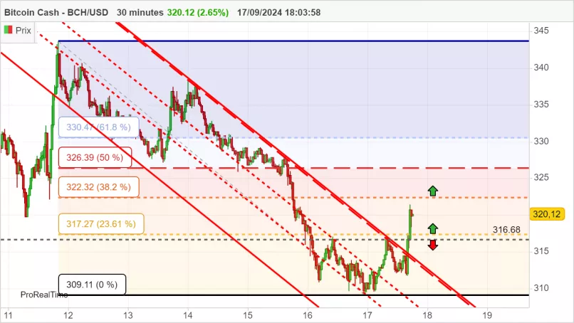 BITCOIN CASH - BCH/USD - 30 min.