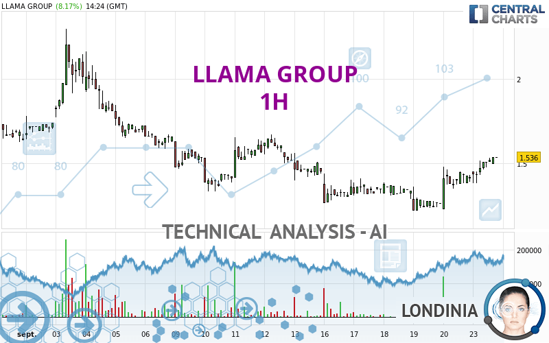 LLAMA GROUP - 1H