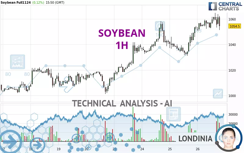 SOYBEAN - 1 Std.