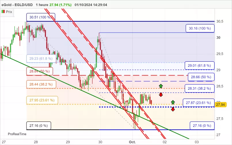 MULTIVERSX - EGLD/USD - 1H