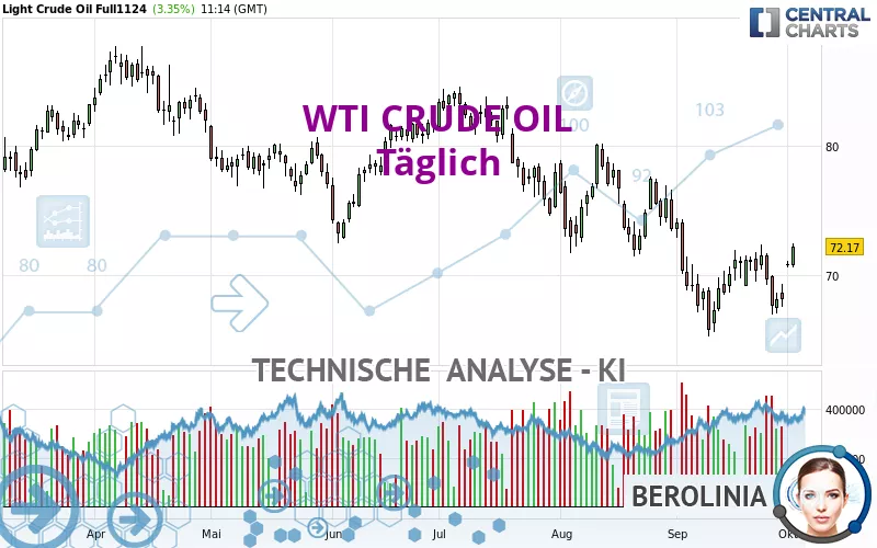 WTI CRUDE OIL - Täglich