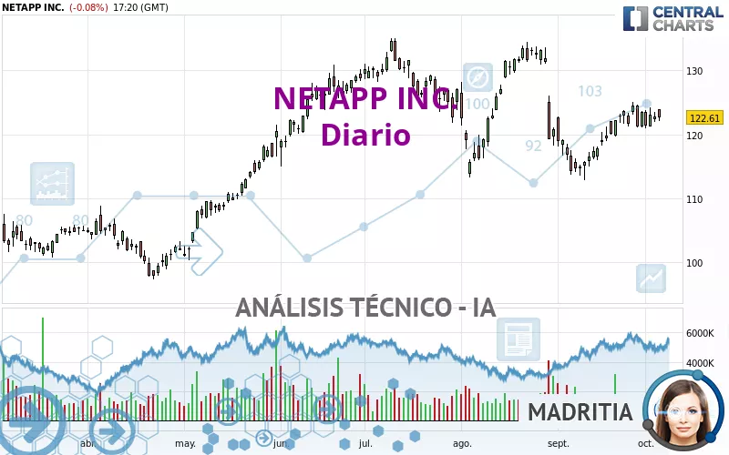 NETAPP INC. - Diario