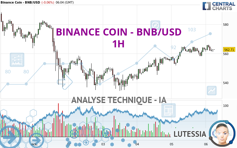 BINANCE COIN - BNB/USD - 1 uur