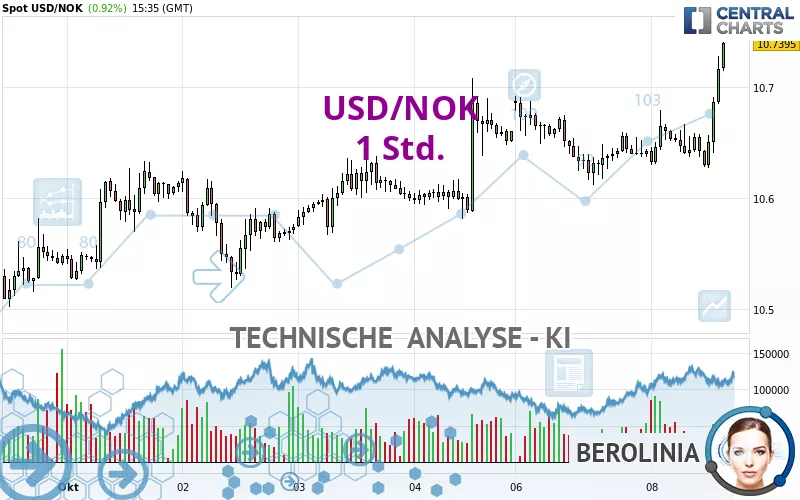 USD/NOK - 1 Std.