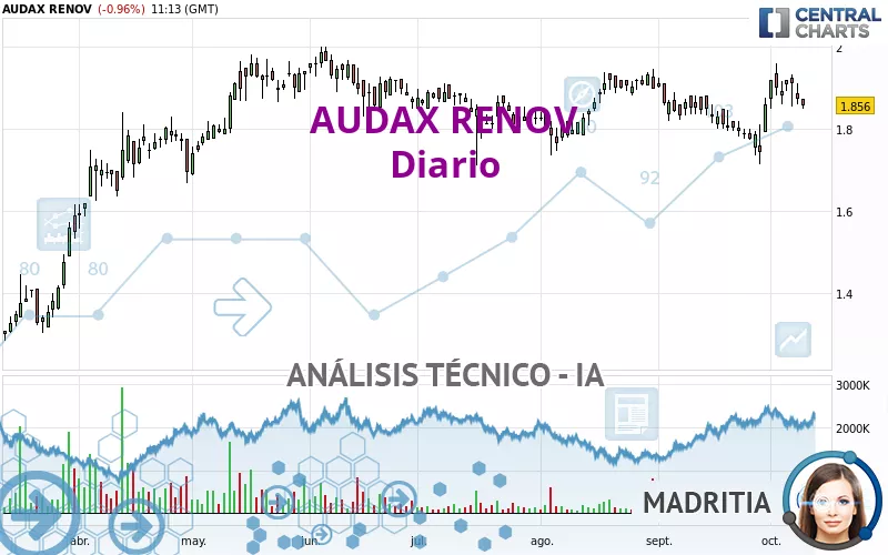 AUDAX RENOV - Diario