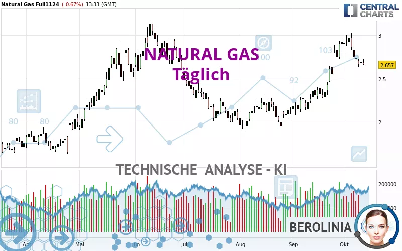 NATURAL GAS - Journalier