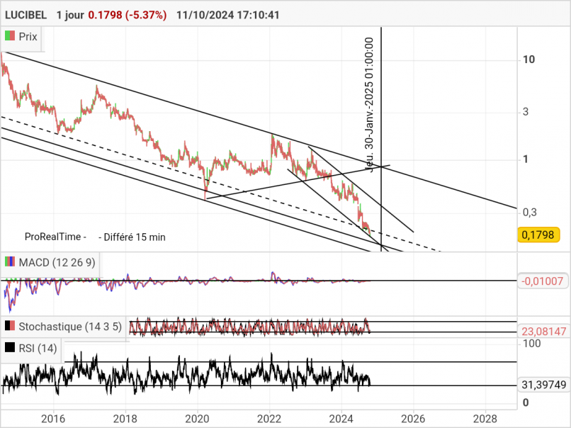 LUCIBEL - Daily