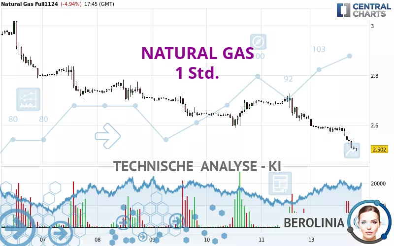 NATURAL GAS - 1 Std.