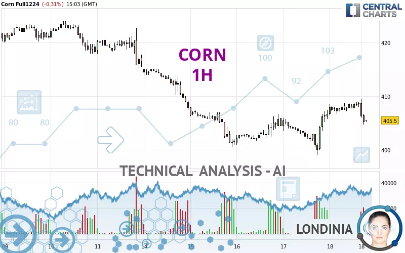 CORN - 1H