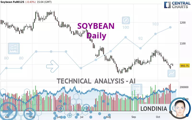 SOYBEAN - Journalier