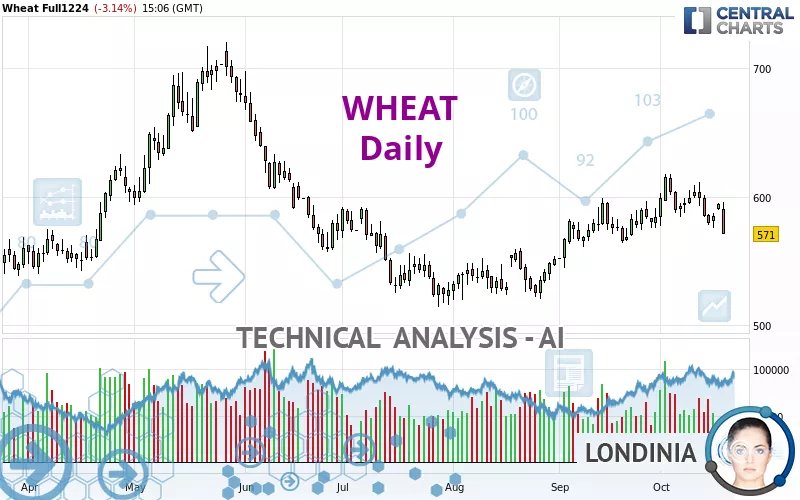 WHEAT - Dagelijks