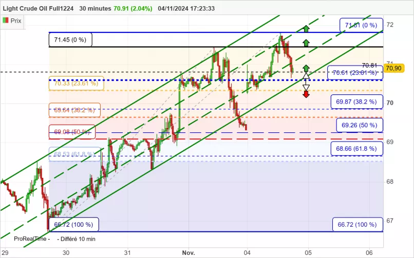 WTI CRUDE OIL - 30 min.