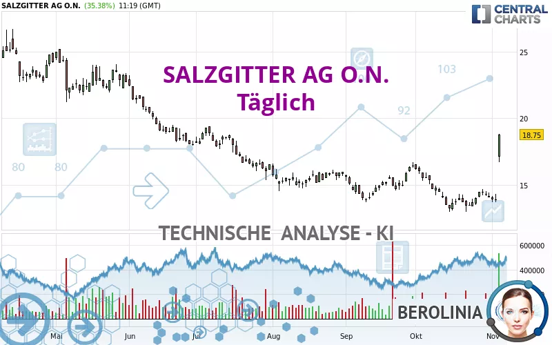 SALZGITTER AG O.N. - Täglich