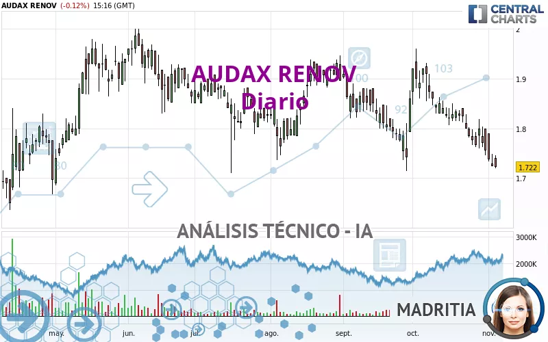 AUDAX RENOV - Diario