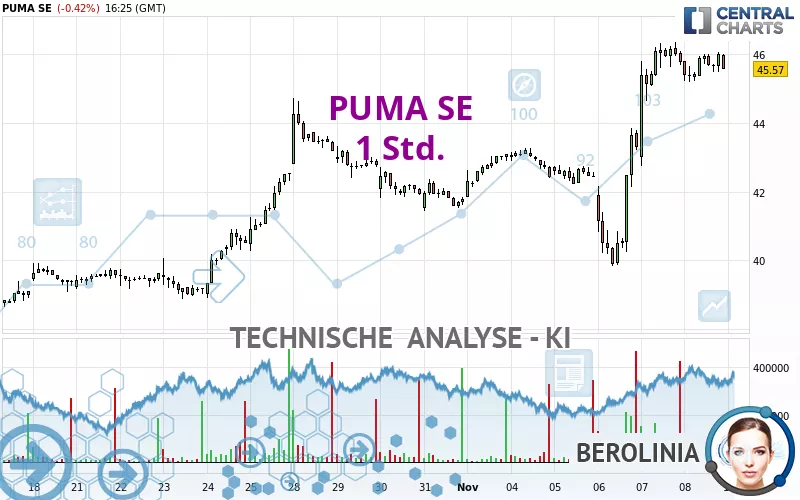 PUMA SE - 1 Std.