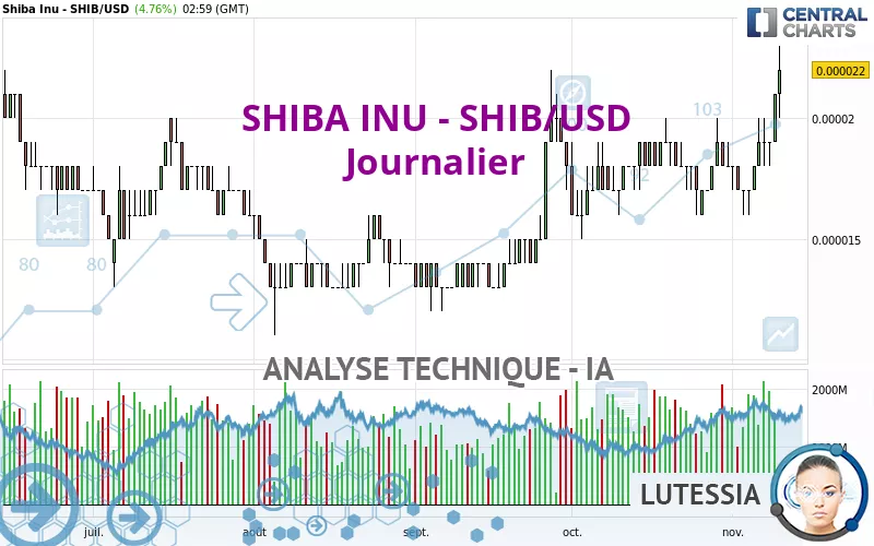 SHIBA INU - SHIB/USD - Journalier