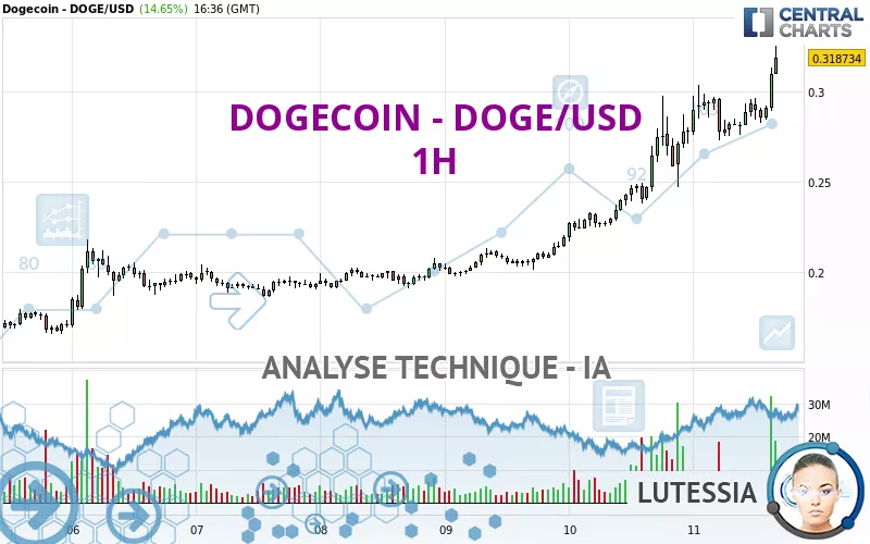 DOGECOIN - DOGE/USD - 1 Std.