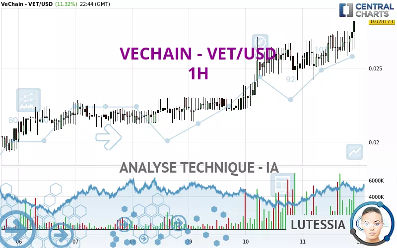 VECHAIN - VET/USD - 1H