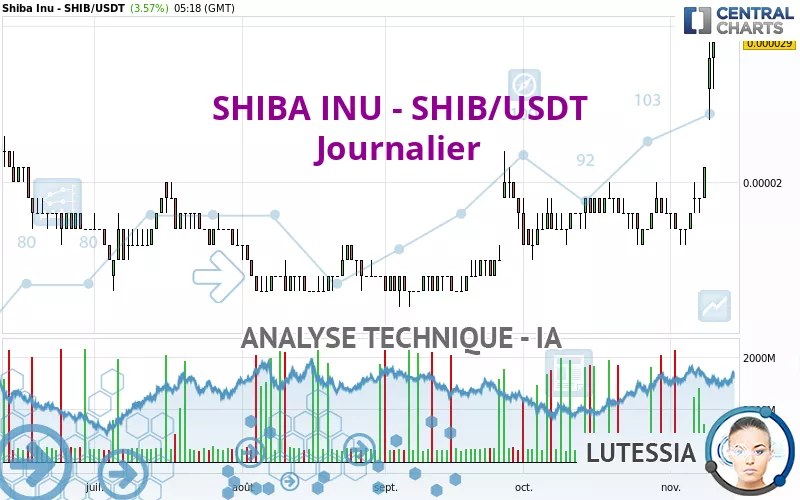 SHIBA INU - SHIB/USDT - Journalier