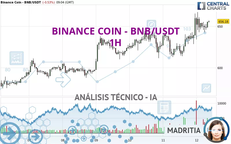 BINANCE COIN - BNB/USDT - 1H