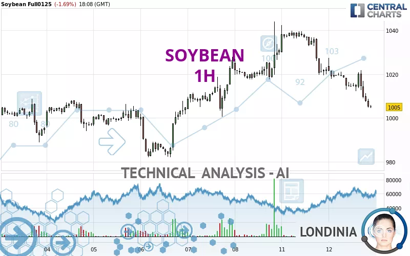 SOYBEAN - 1 Std.