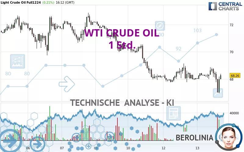 WTI CRUDE OIL - 1 Std.