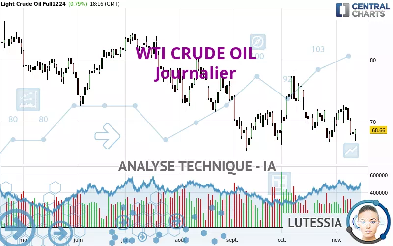 WTI CRUDE OIL - Täglich