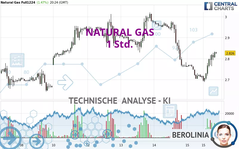 NATURAL GAS - 1 uur