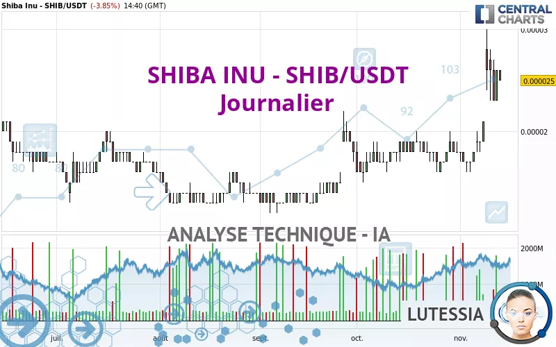 SHIBA INU - SHIB/USDT - Journalier