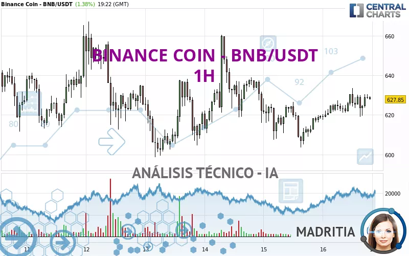 BINANCE COIN - BNB/USDT - 1H