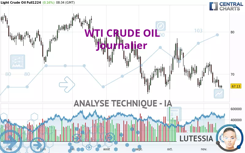 WTI CRUDE OIL - Täglich