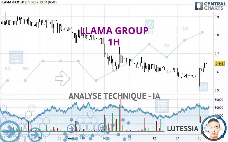 LLAMA GROUP - 1H