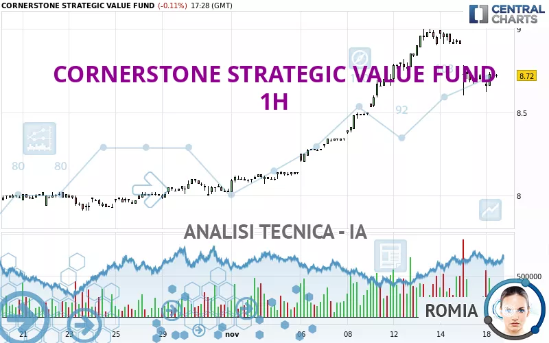 CORNERSTONE STRATEGIC INVESTMENT FUND - 1H