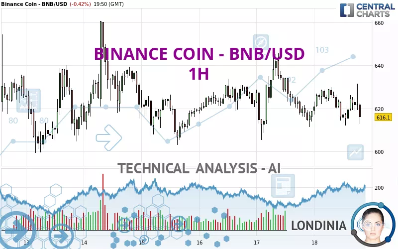 BINANCE COIN - BNB/USD - 1H