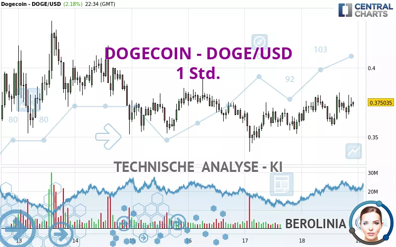 DOGECOIN - DOGE/USD - 1 uur