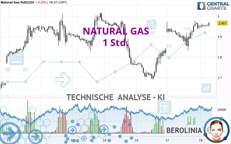 NATURAL GAS - 1 Std.