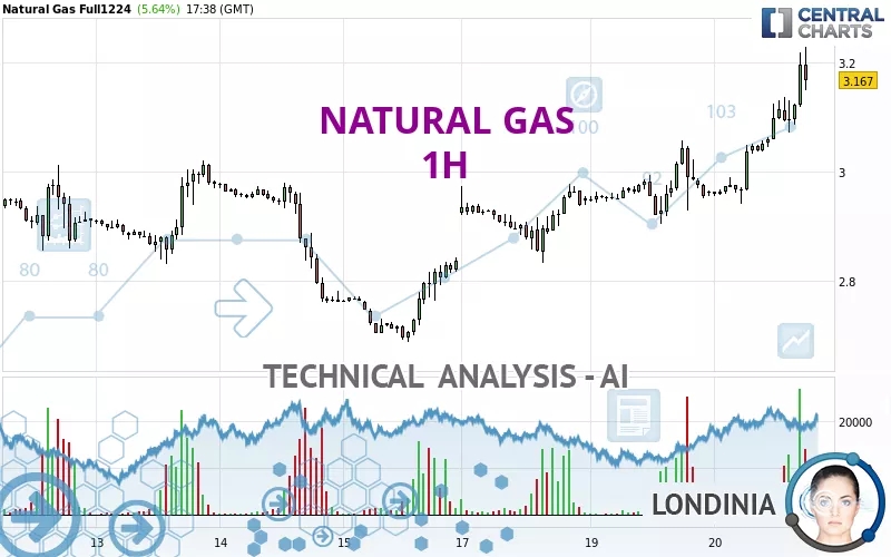 NATURAL GAS - 1 Std.