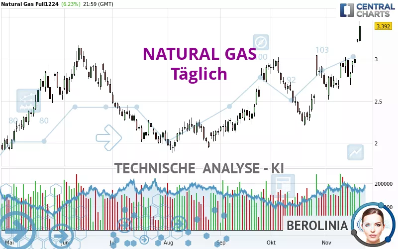 NATURAL GAS - Dagelijks