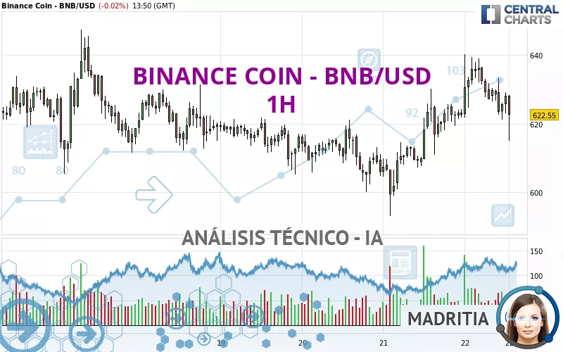 BINANCE COIN - BNB/USD - 1 Std.