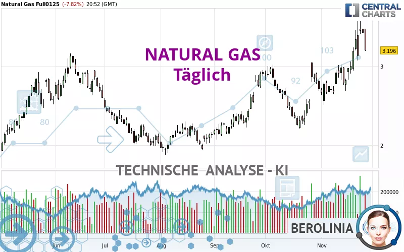 NATURAL GAS - Dagelijks