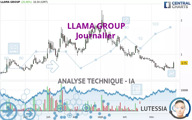 LLAMA GROUP - Journalier