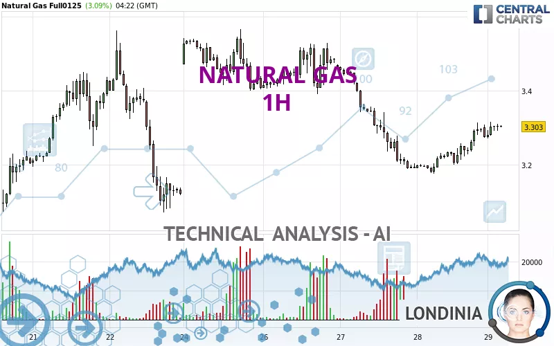 NATURAL GAS - 1 uur