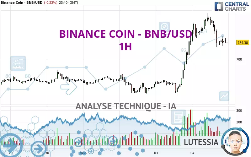 BINANCE COIN - BNB/USD - 1H