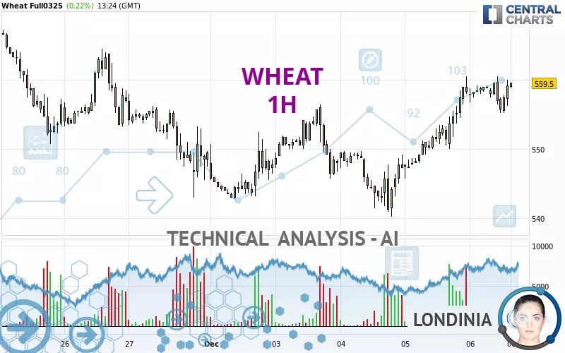 WHEAT - 1 uur