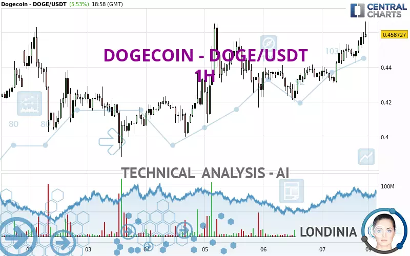 DOGECOIN - DOGE/USDT - 1H