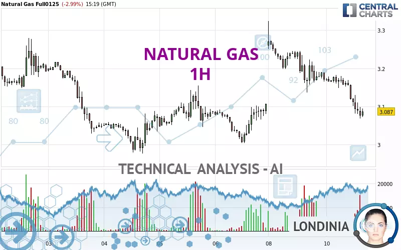 NATURAL GAS - 1 uur